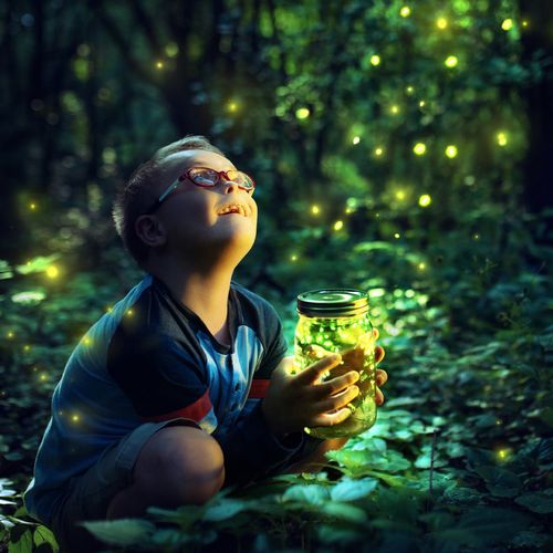 little boy looking at glowing fireflies
